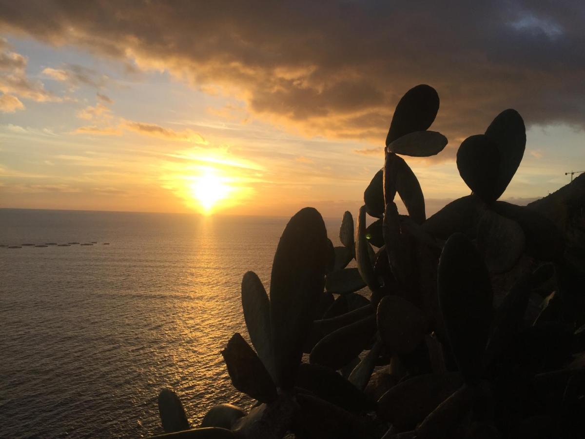 Mango House Villa Arco da Calheta  Eksteriør bilde