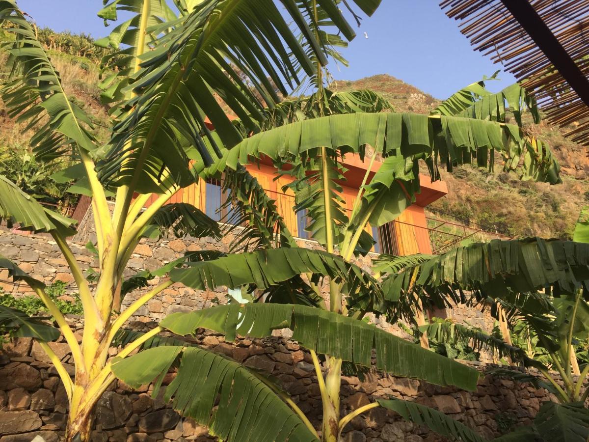 Mango House Villa Arco da Calheta  Eksteriør bilde