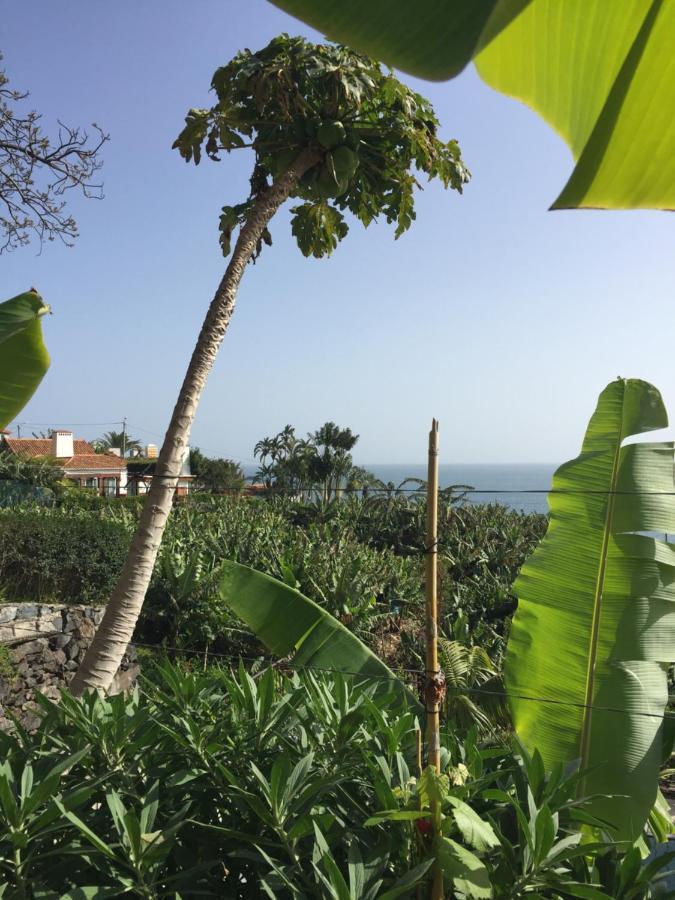 Mango House Villa Arco da Calheta  Eksteriør bilde